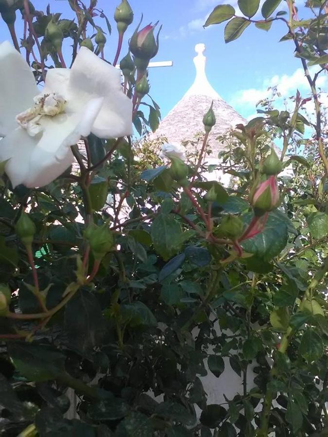 Trulli Di Ivana Ostuni Eksteriør billede