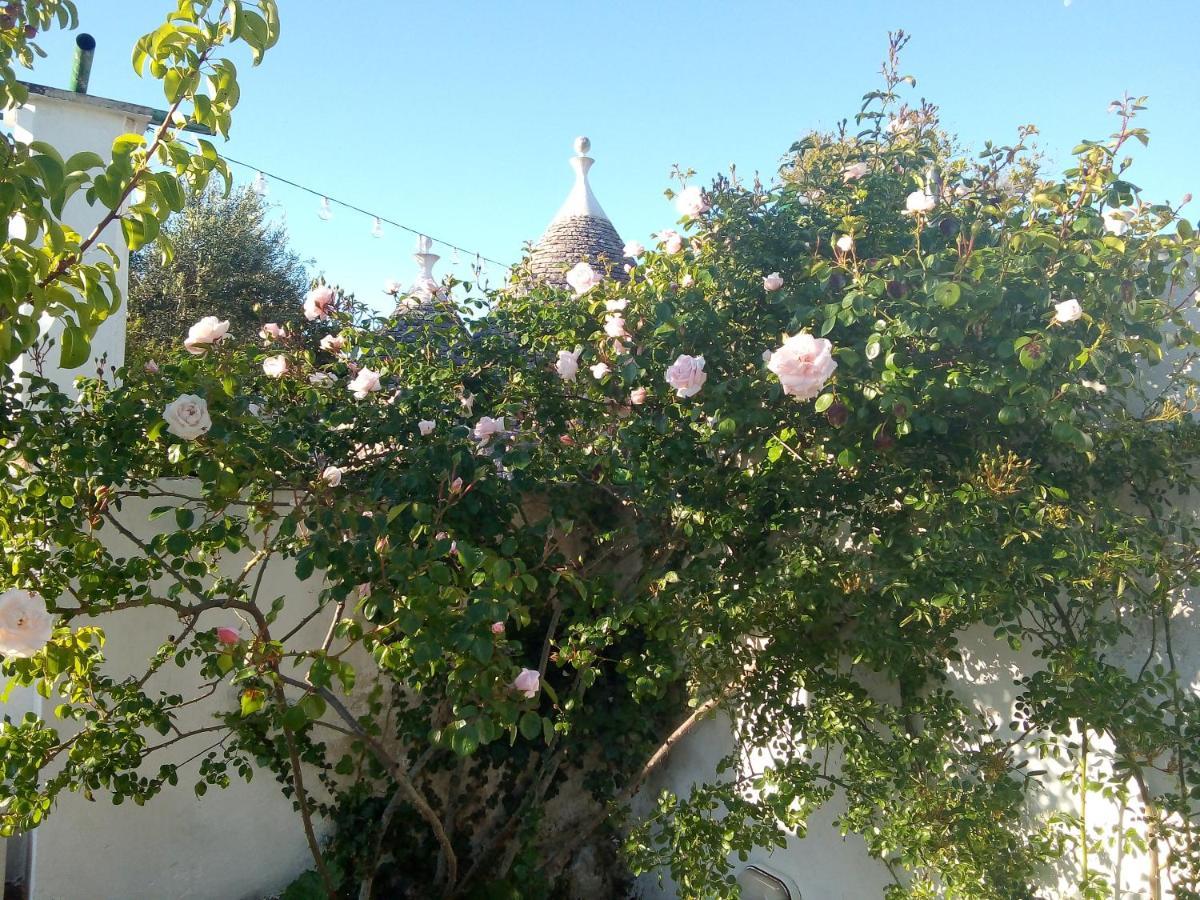 Trulli Di Ivana Ostuni Eksteriør billede