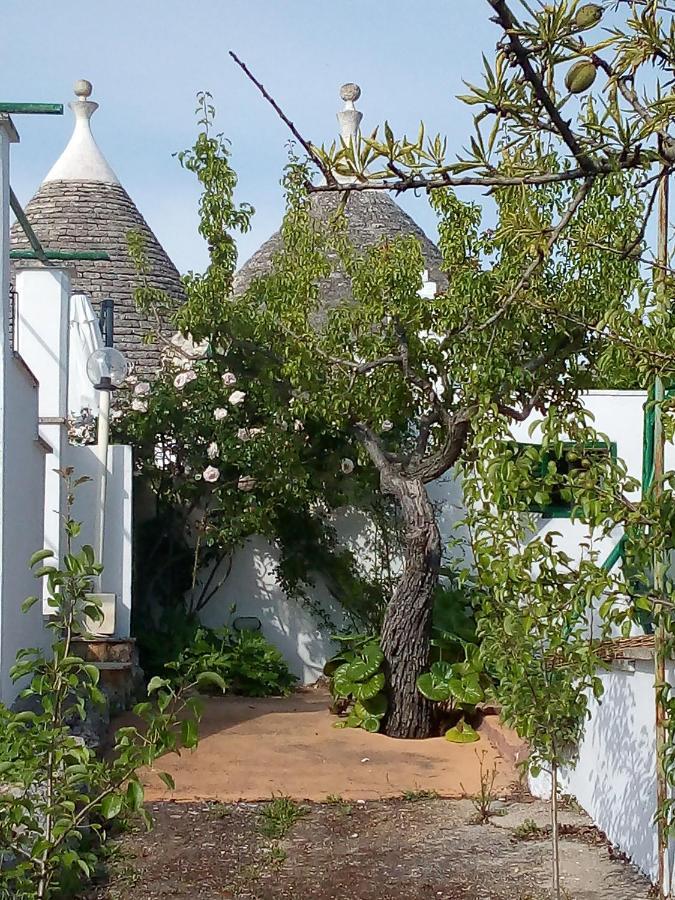 Trulli Di Ivana Ostuni Eksteriør billede